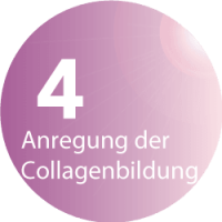 BeautyLight-Styler speedSun Beautylounge Solarium und Sonnenstudio - Anregung der Collagenbildung
