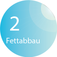 BODYformer - Fettabbau