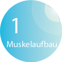 BODYformer - Muskelaufbau