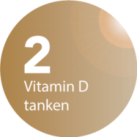 SunLight speedSun Beautylounge Solarium und Sonnenstudio - Vitamin D tanken